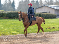 BP200326-11 - It's Hard To Know